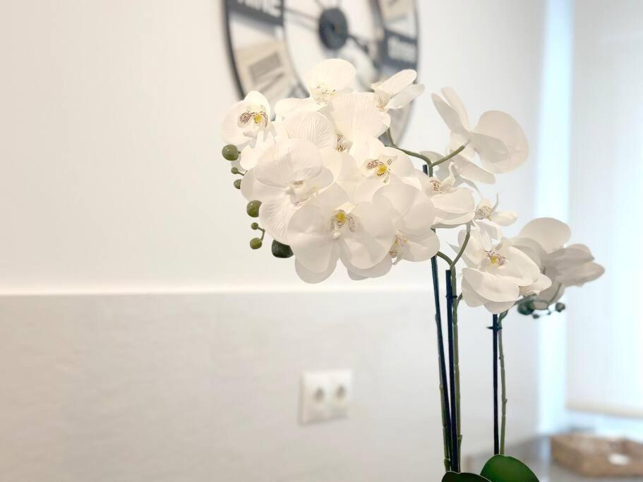 Apartamento Reformado En Santoña Екстериор снимка